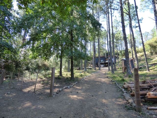place photo 24
