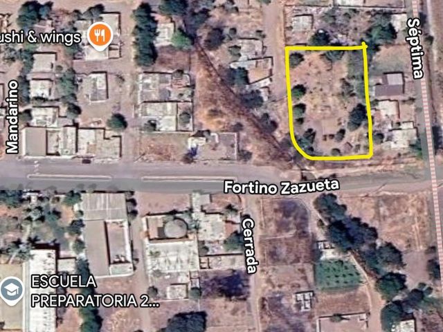 place photo 7