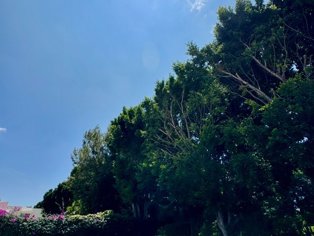 place photo 30