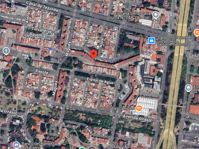 place photo 14
