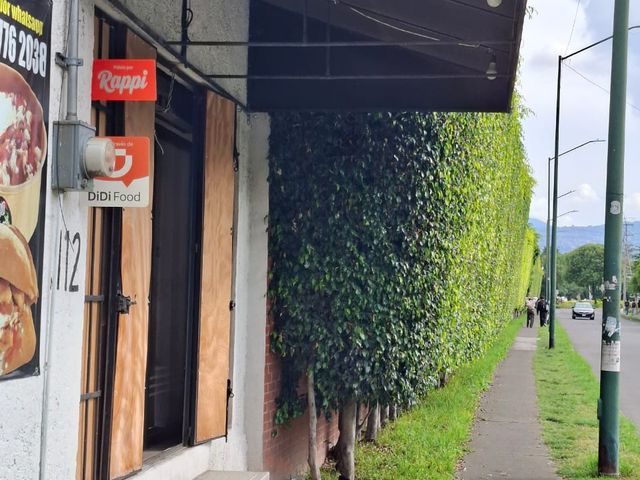 place photo 12