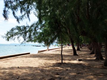 place photo 65