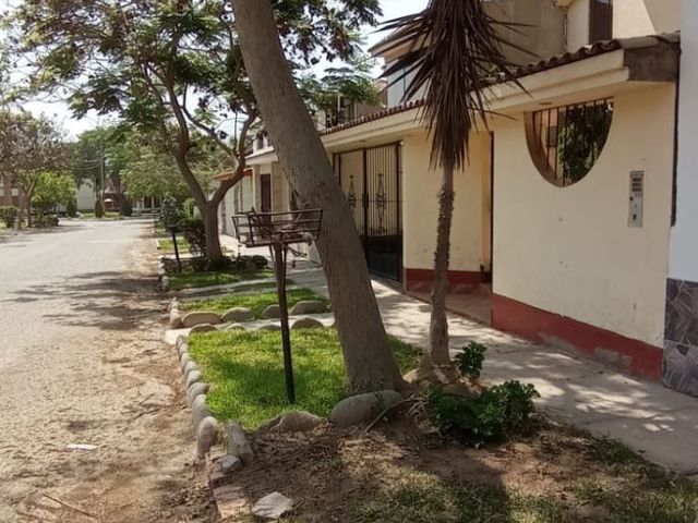 place photo 50