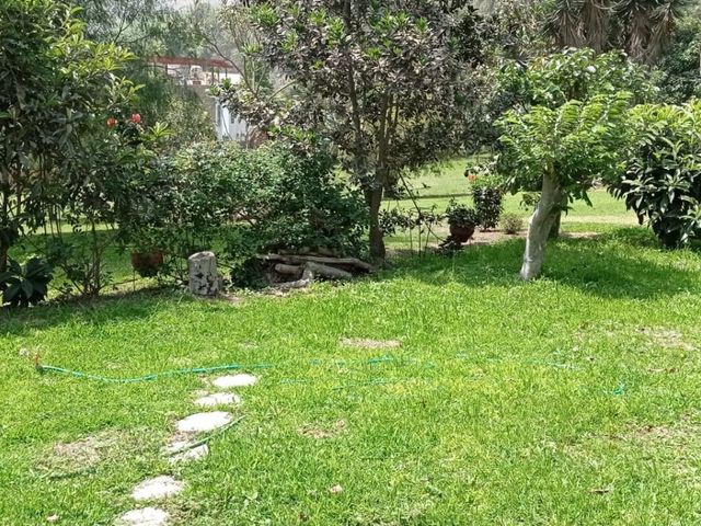 place photo 51