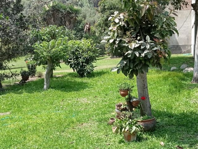 place photo 52