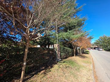 place photo 44