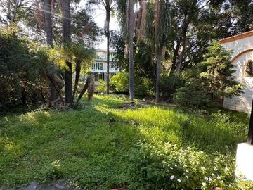 place photo 40