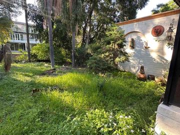 place photo 41