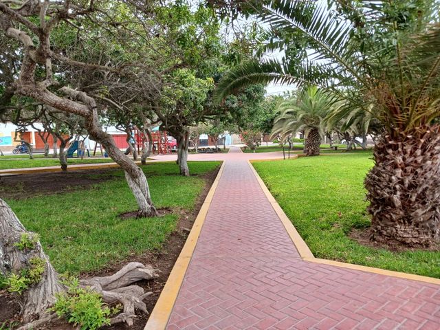 place photo 62