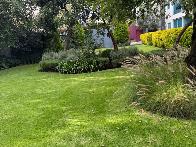 place photo 43