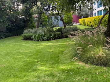 place photo 43