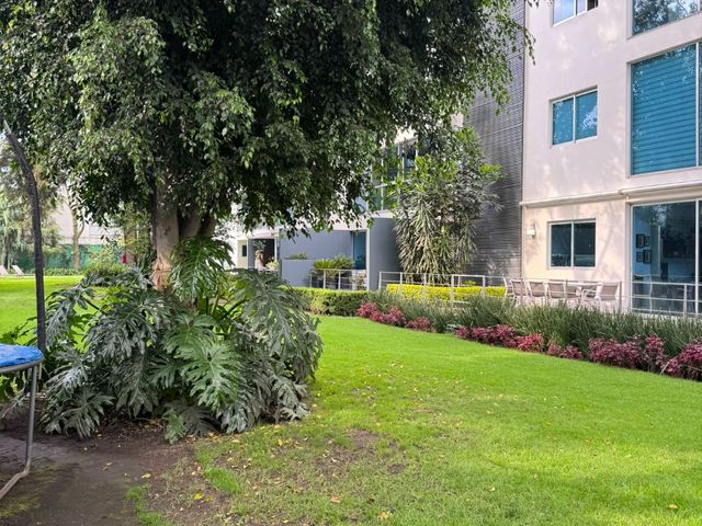 place photo 36