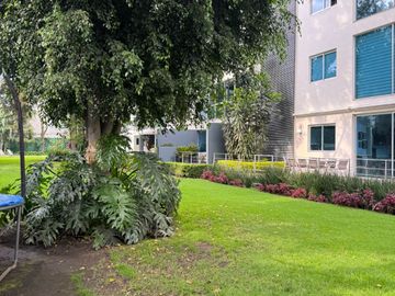 place photo 36