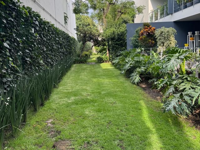 place photo 39