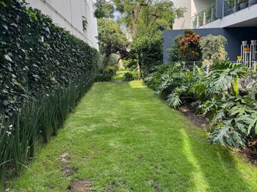 place photo 39