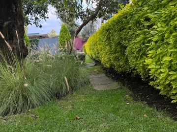 place photo 41