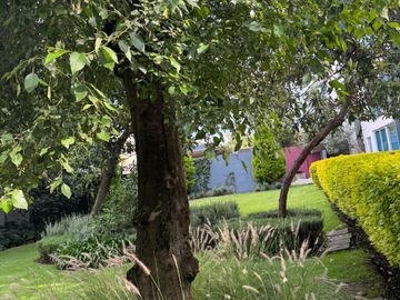 place photo 42