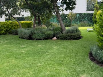place photo 44