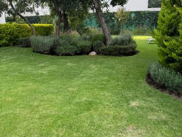 place photo 45