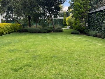place photo 46