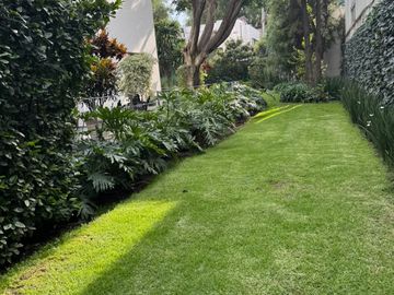 place photo 47