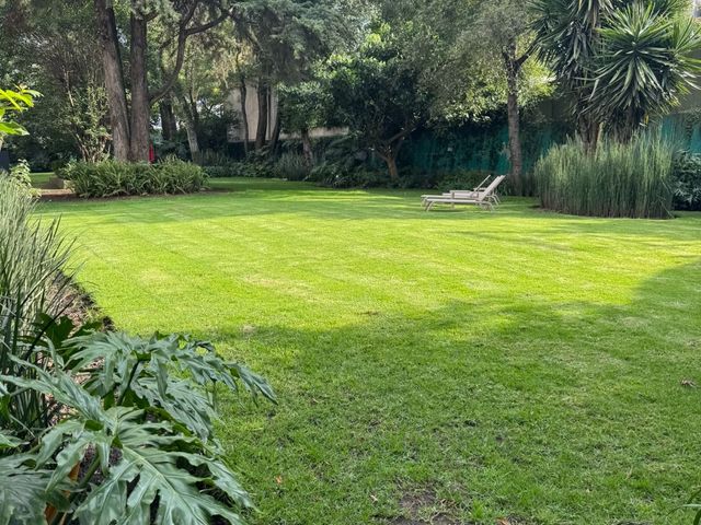 place photo 48
