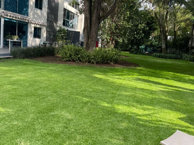 place photo 50