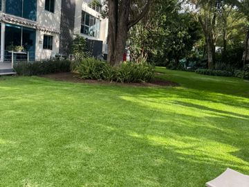 place photo 50