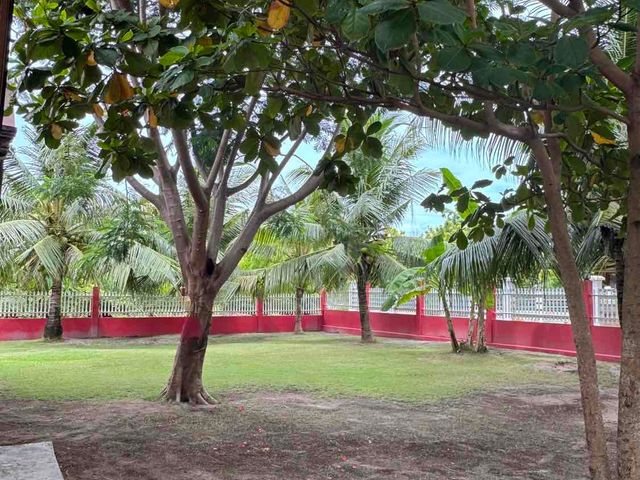 place photo 29