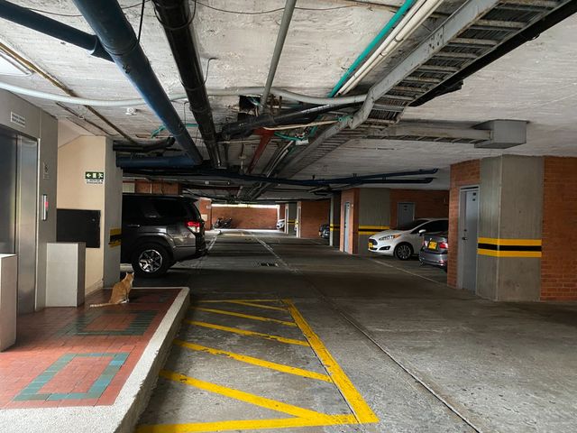 place photo 39