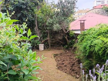 place photo 37