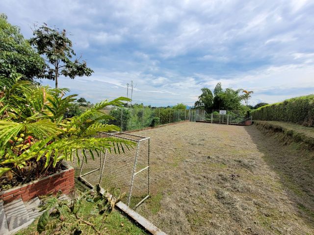 place photo 43