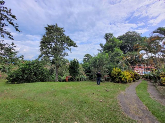 place photo 58