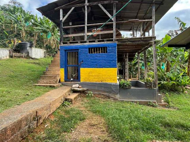 place photo 45