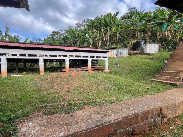 place photo 50