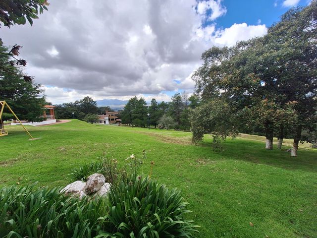 place photo 40