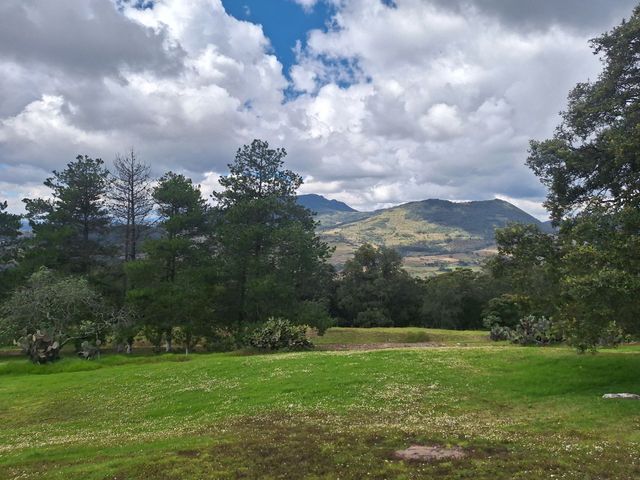 place photo 45