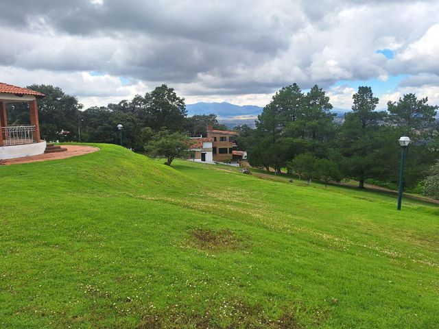 place photo 46