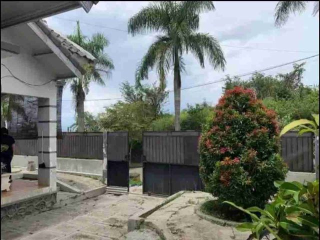 place photo 10