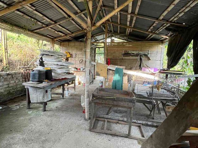 place photo 38