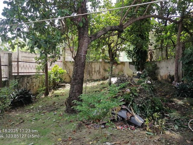 place photo 23
