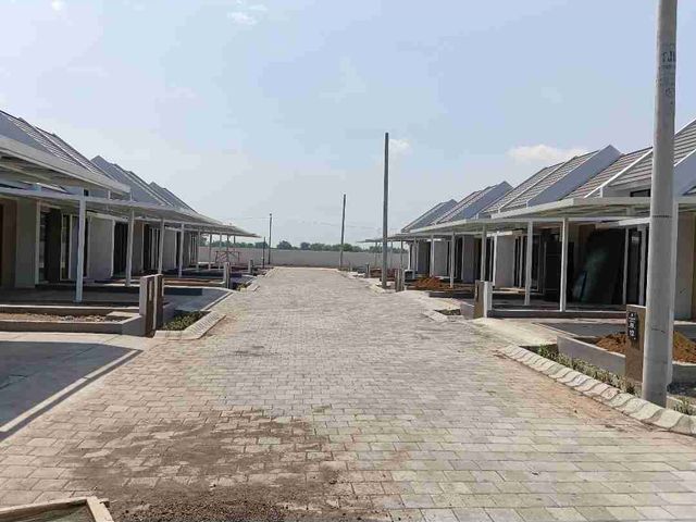 place photo 22