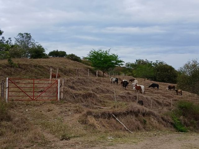place photo 40