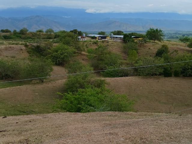 place photo 42