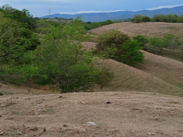 place photo 44