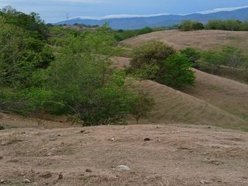 place photo 44