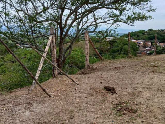 place photo 45
