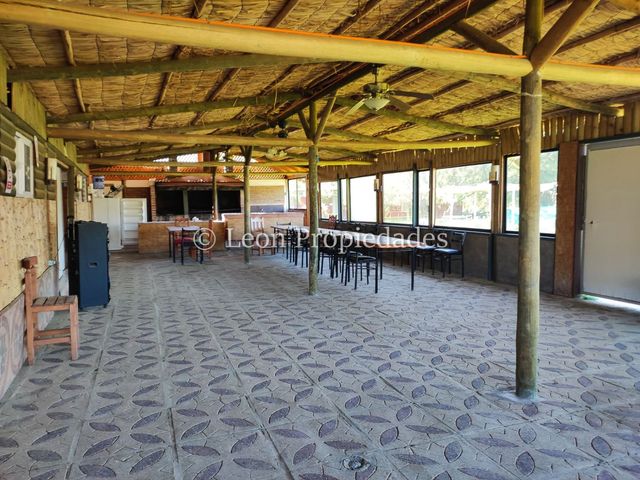 place photo 37