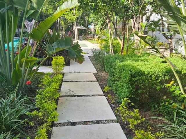 place photo 29