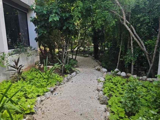 place photo 37